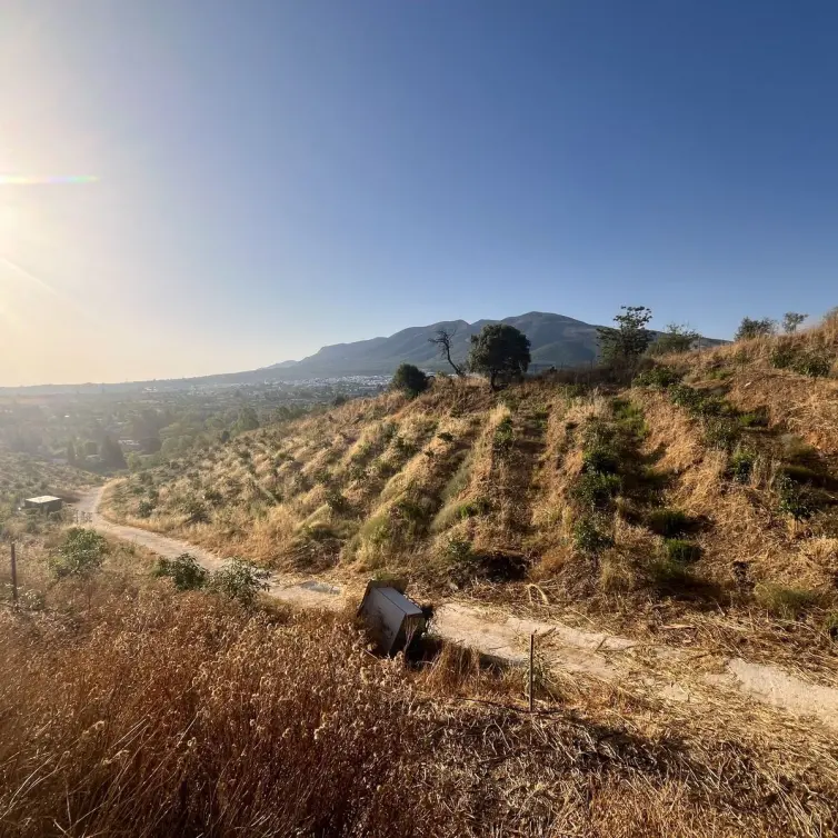 Sale of residential plot in Alhaurín el Grande