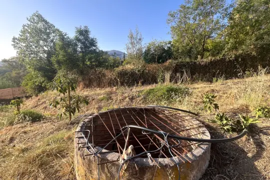 Image 4 thumb