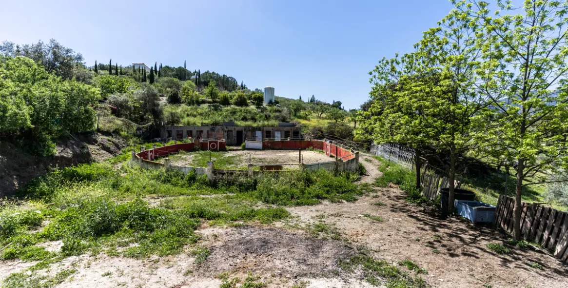 Sale of finca - cortijo in Monda 22