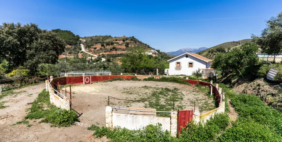 Sale of finca - cortijo in Monda 23