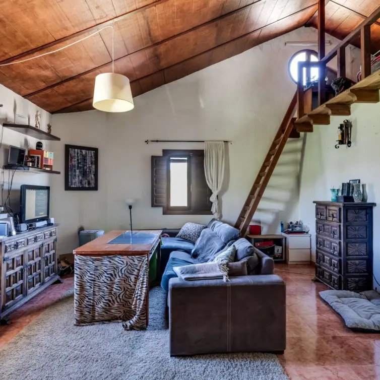 Sale of finca - cortijo in Monda