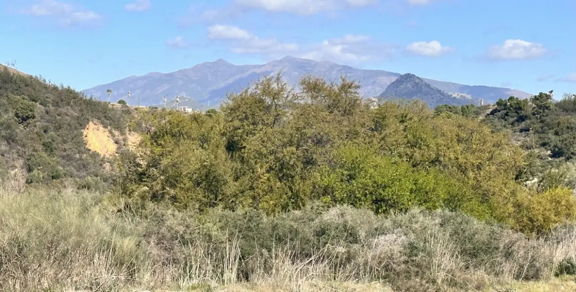 Venta de apartamento en planta media en Selwo 43