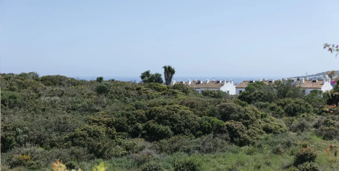 Sale of penthouse in Manilva 41