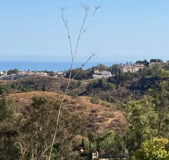 Продажа  жилого участка в Mijas