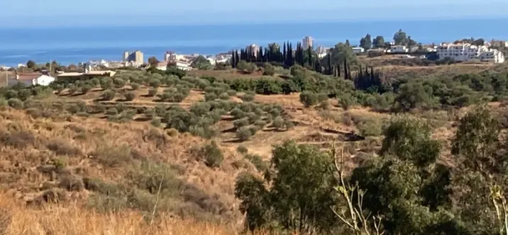 Продажа  жилого участка в Mijas 3