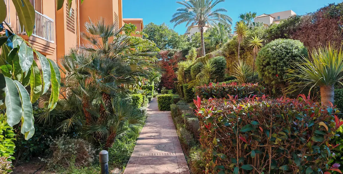Sale of ground floor apartment in Estepona 13