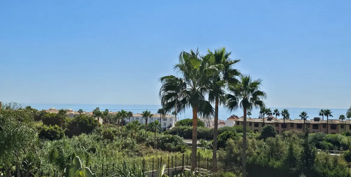 Sale of penthouse in Casares Playa 20