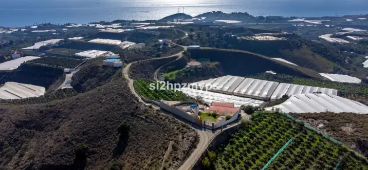 Sale of detached villa in Algarrobo 0