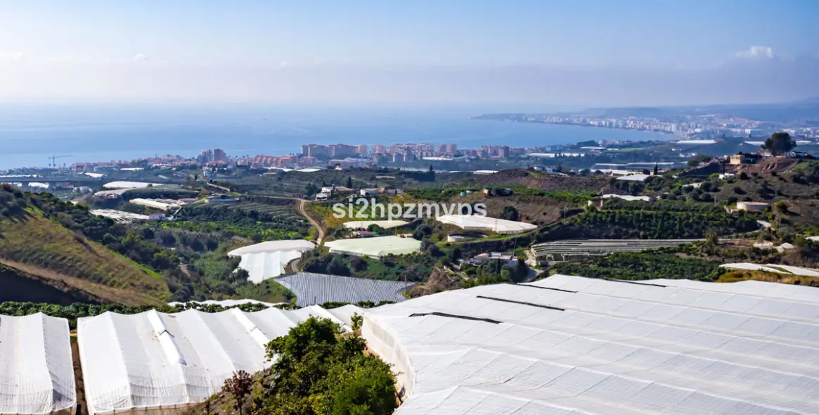 Sale of detached villa in Algarrobo 6