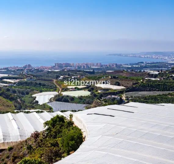 Sale of detached villa in Algarrobo