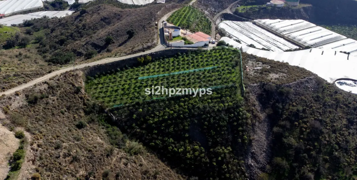 Sale of detached villa in Algarrobo 7