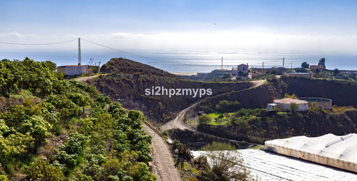 Sale of detached villa in Algarrobo 14