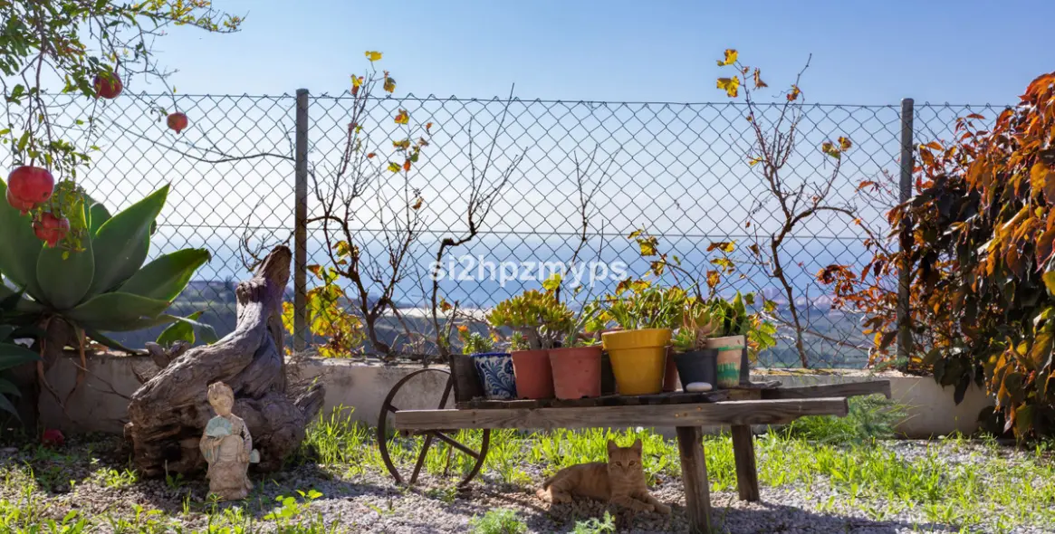 Sale of detached villa in Algarrobo 17