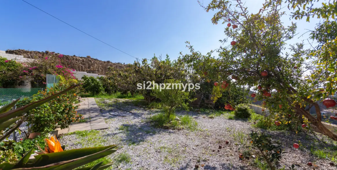 Sale of detached villa in Algarrobo 37