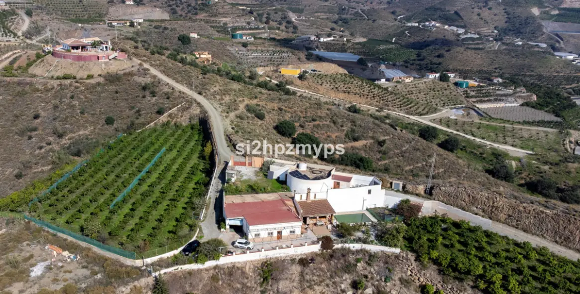 Sale of detached villa in Algarrobo 38