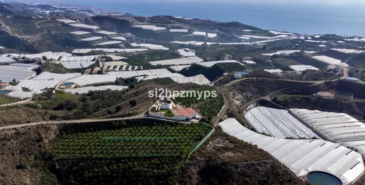 Sale of detached villa in Algarrobo 40