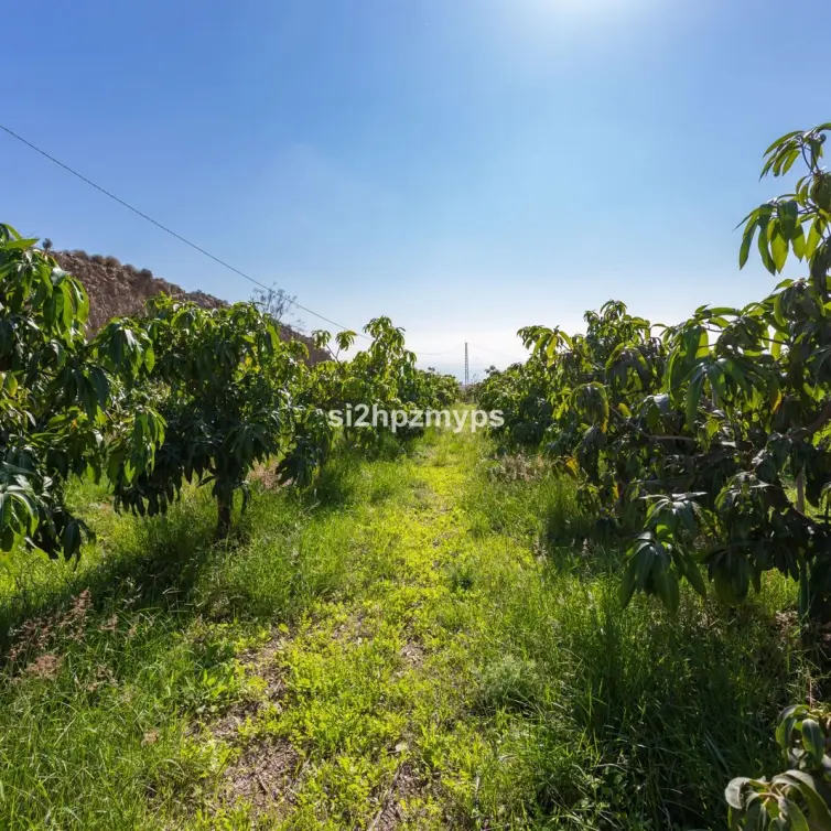 Venta de villa independiente en Algarrobo