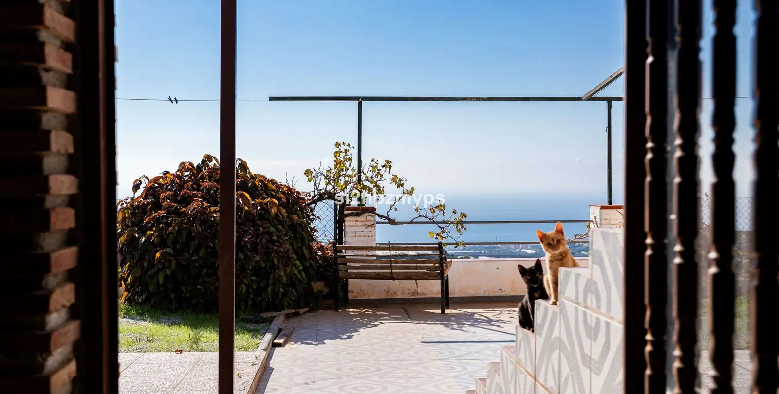 Sale of detached villa in Algarrobo 15