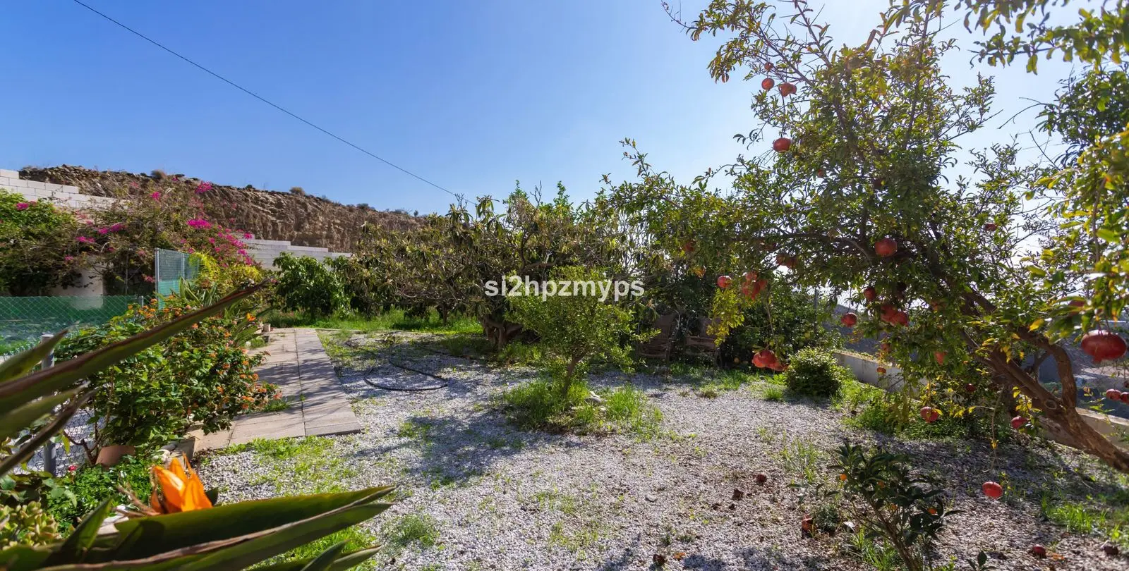 Sale of detached villa in Algarrobo 37