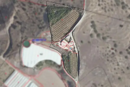 Image 41 thumb