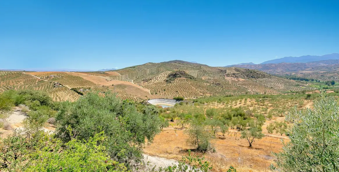 Sale of finca - cortijo in Tolox 6