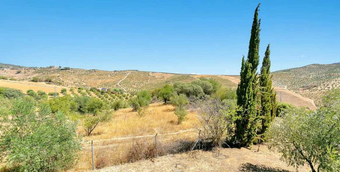 Sale of finca - cortijo in Tolox 7
