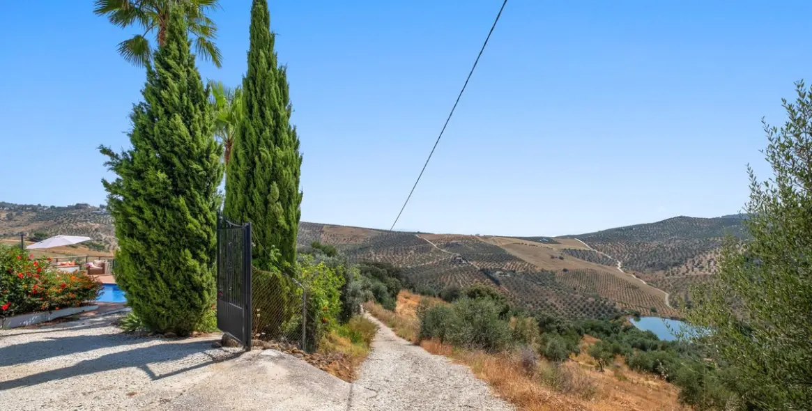 Sale of finca - cortijo in Tolox 8