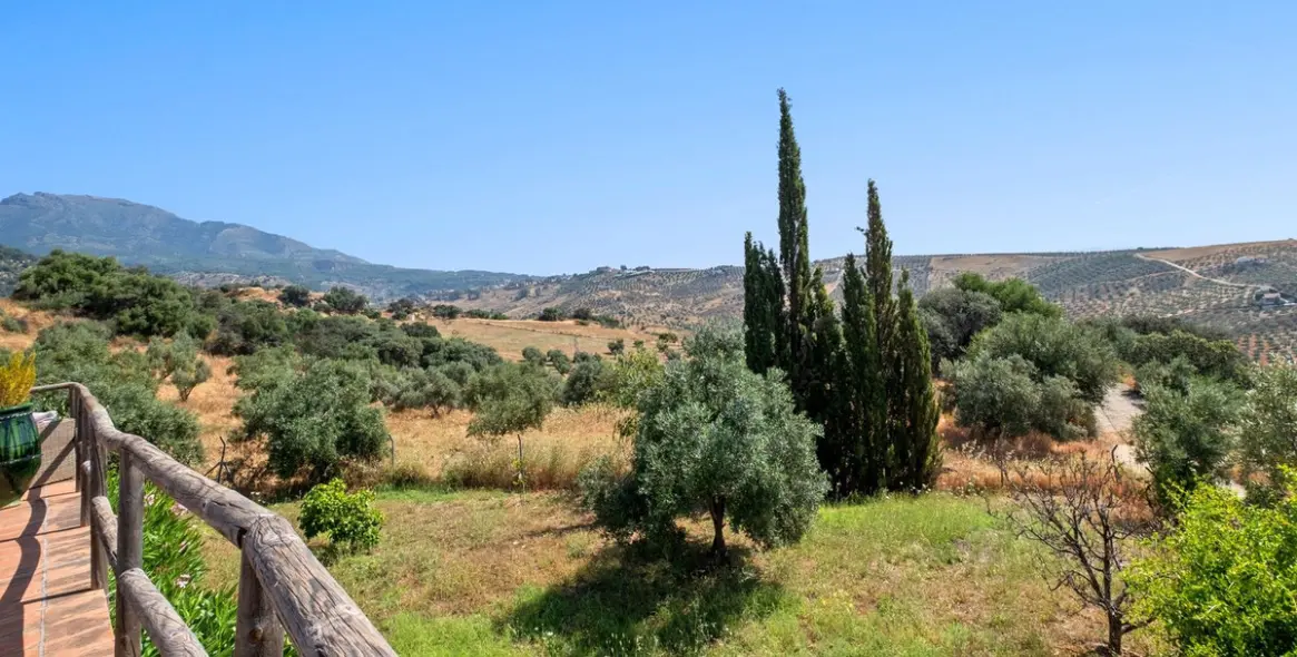 Sale of finca - cortijo in Tolox 14