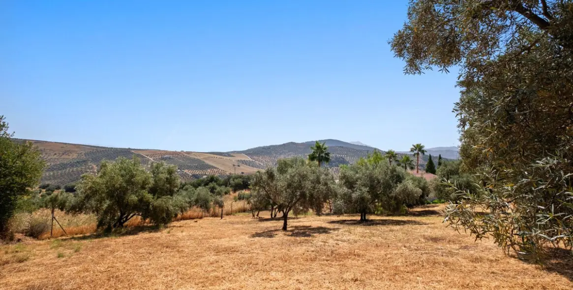 Sale of finca - cortijo in Tolox 16