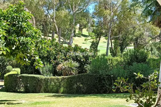 Image 9 thumb