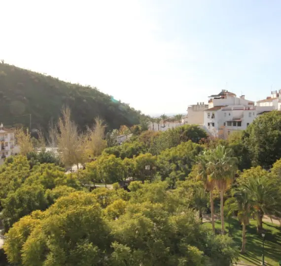 Sale of semi-detached house in Algarrobo