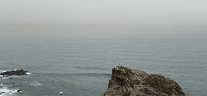 Sale of penthouse in Mijas Costa 2