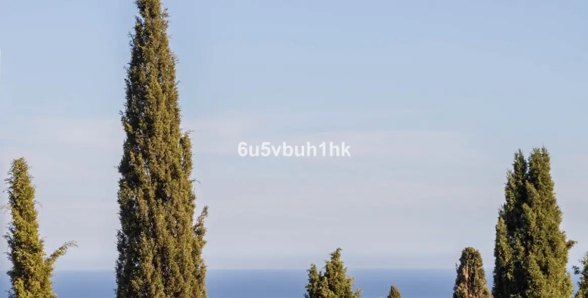 Sale of townhouse in Campo Mijas 16