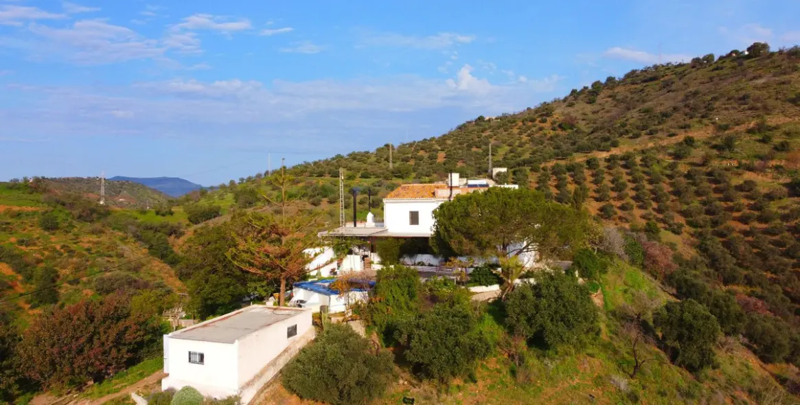 Продажа финки в Pizarra 3