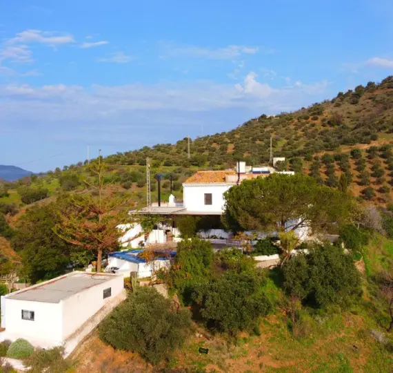 Продажа финки в Pizarra