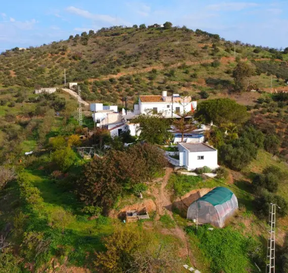 Продажа финки в Pizarra