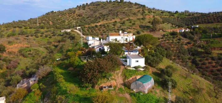 Продажа финки в Pizarra 3