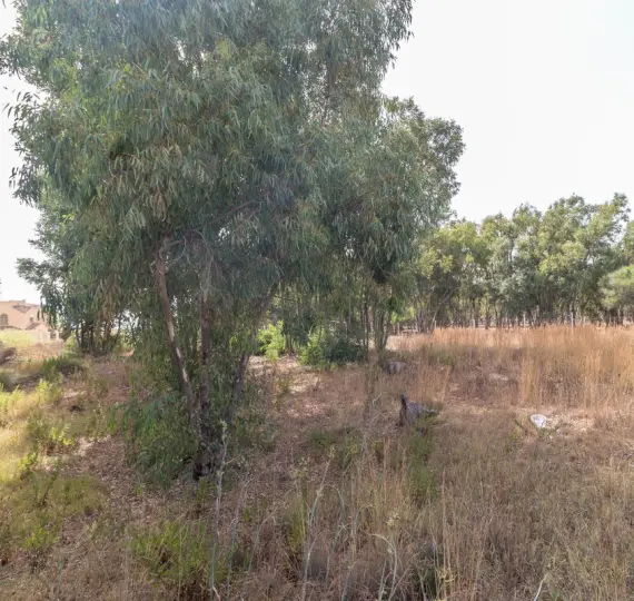 Parcela residencial R5116234