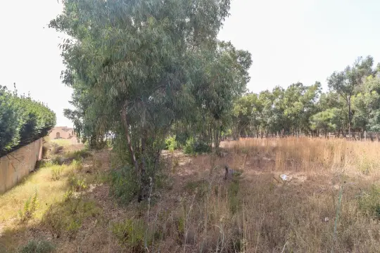 Image 6 thumb