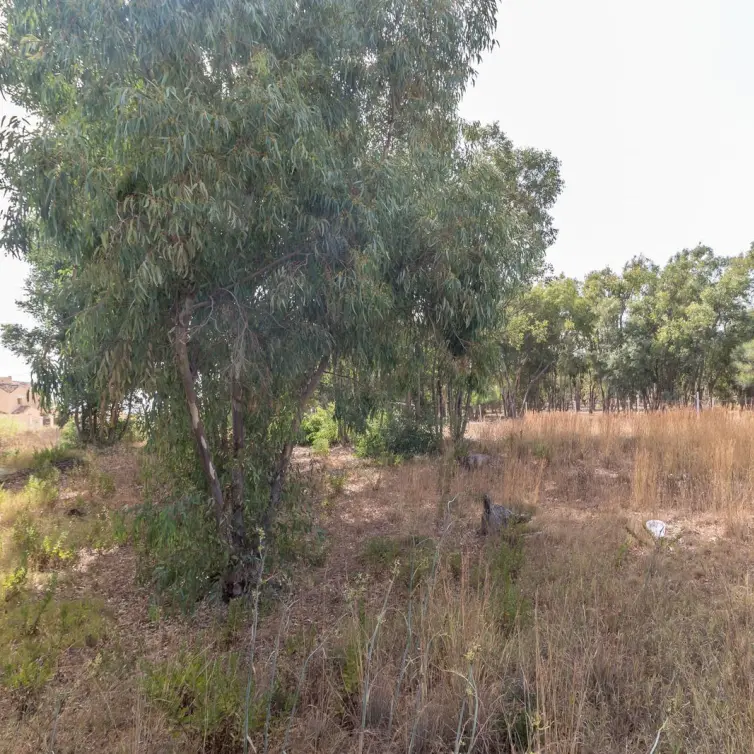 Sale of residential plot in Manilva