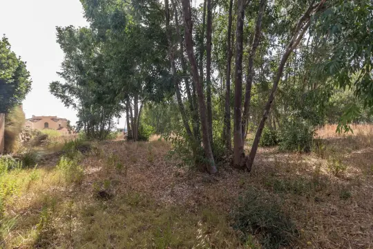 Image 7 thumb