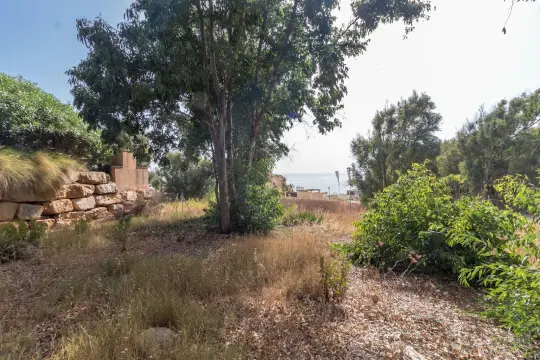 Image 8 thumb