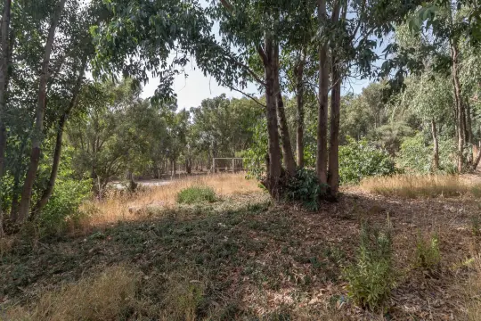 Image 9 thumb
