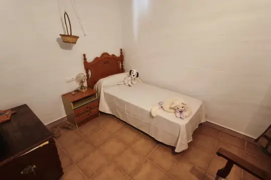 Image 14 thumb