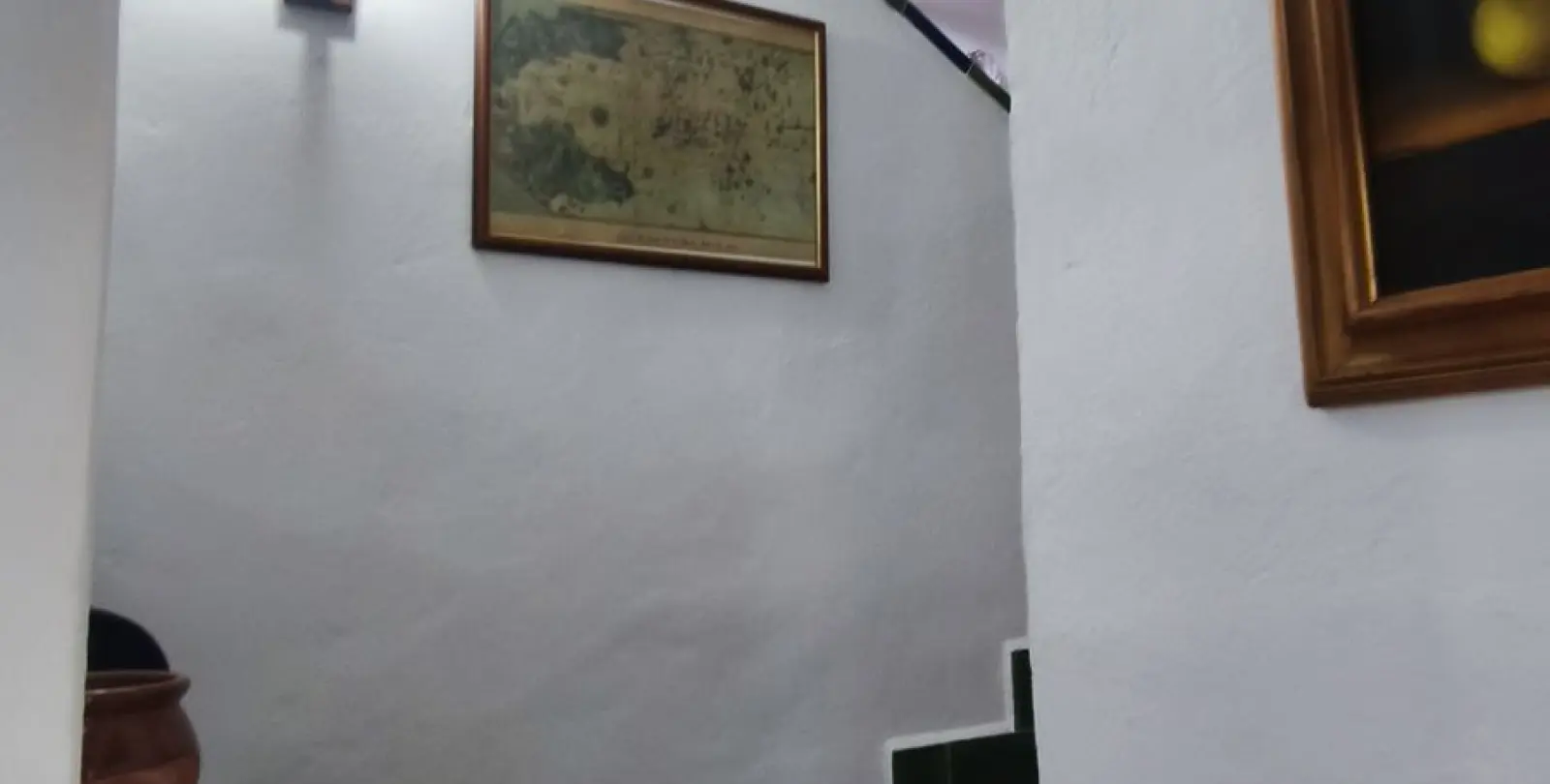 Venta de finca - cortijo en Monda 24