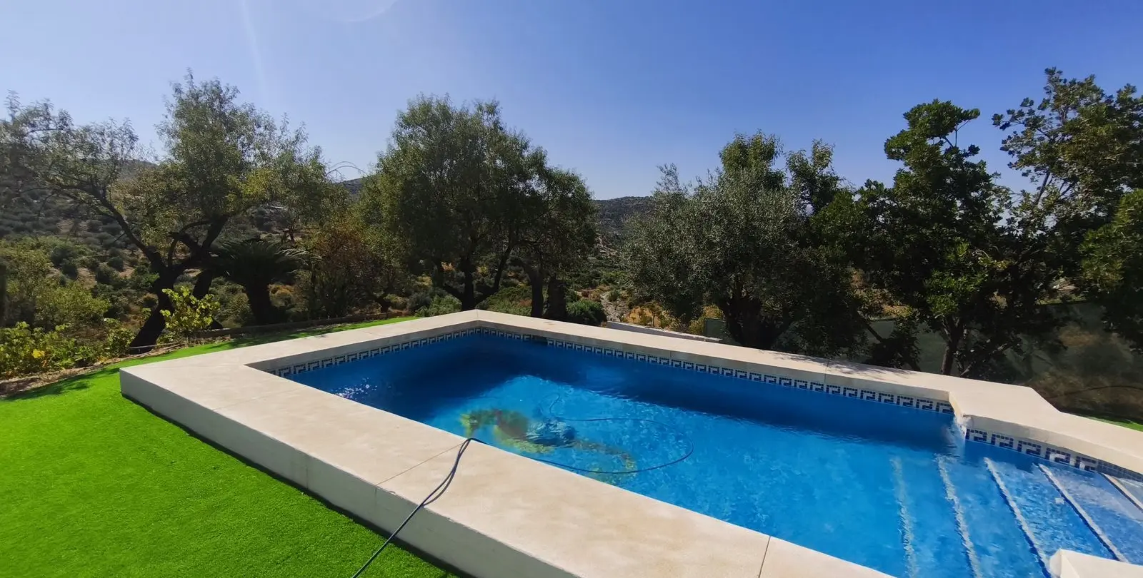 Venta de finca - cortijo en Monda 34