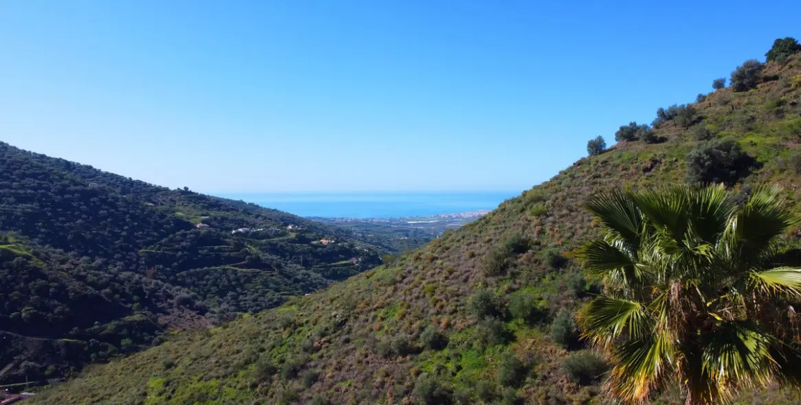 Sale of detached villa in Arenas 4