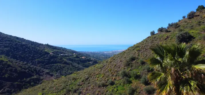 Sale of detached villa in Arenas 3