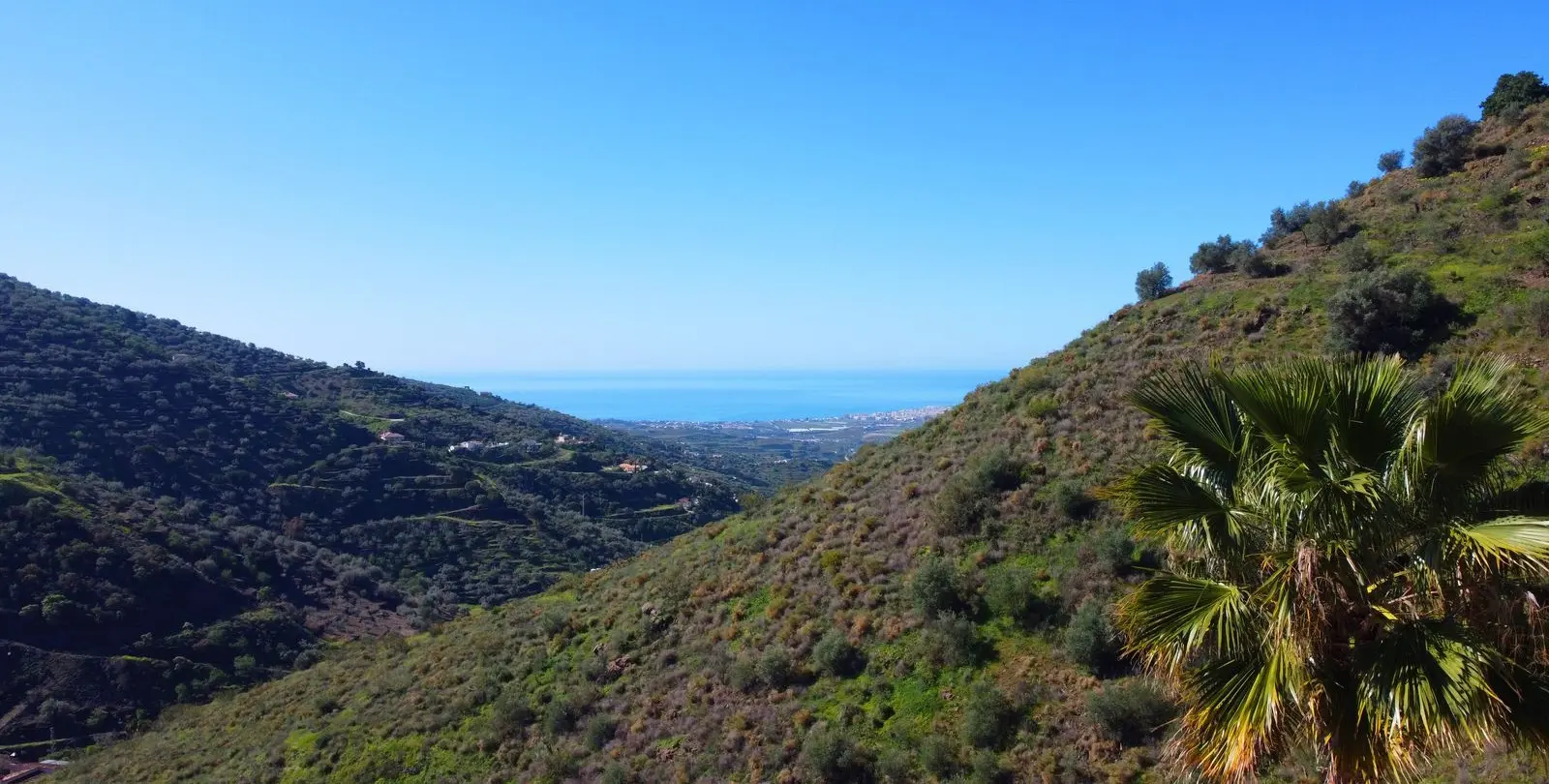 Sale of detached villa in Arenas 2