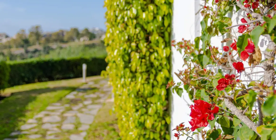 Sale of penthouse in Los Arqueros 3